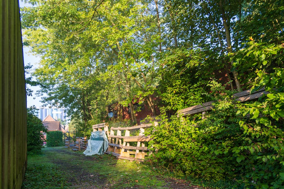 The image depicts a narrow outdoor pathway adjacent to a residential building, with an abundance of green foliage and trees creating a shaded environment. On the right side, there is a sloped wooden fence made of horizontal planks, showing signs of weathering with some slight discoloration, supporting dense shrubbery and small trees rising above it. The pathway, covered in patches of grass and dirt, appears to be used for general access or waste clearance activities, leading toward a distant scene with rooftops of nearby houses and taller buildings visible under the dappled sunlight filtering through the leafy canopy. In the middle ground, an assortment of discarded materials, including a white fabric or plastic sheet, rests atop a wooden pallet or structure, which is part of a collection of stacked wooden pallets leaning against the fence. The environment suggests a private outdoor space undergoing some form of clearance or waste management, consistent with services offered by Rubbish Clearance Harringay for garden waste or general rubbish removal, especially when conducting on-site clearance away from public waste collection points.