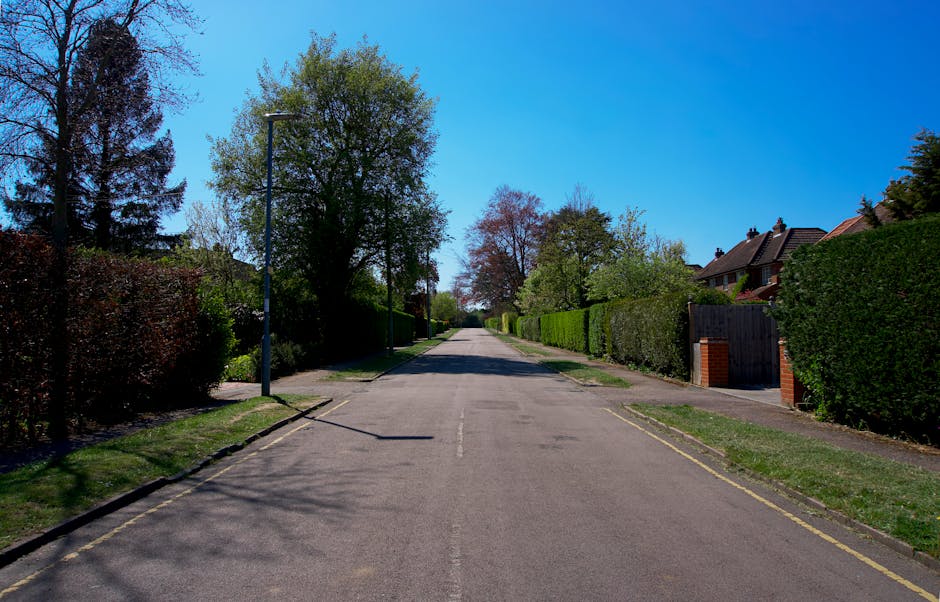 A quiet residential street with a clear, straight tarmac road flanked by well-maintained front gardens. On the left, there is a tall, mature tree casting shadows on the pavement, alongside a streetlamp with a slender pole. The right side features neatly trimmed hedges and a brick pillar gate leading to a house. Several other trees with lush foliage are visible further along the street, some showing early signs of spring growth. The houses in the background have sloped roofs with chimneys, and appear to be semi-detached or terraced. The bright blue sky overhead indicates a sunny day, with minimal cloud cover. The scene embodies a typical suburban setting suitable for private rubbish clearance services, such as those provided by Rubbish Clearance Harringay, who handle waste removal from residential properties. The overall atmosphere is calm and orderly, emphasizing a clean environment that benefits from professional rubbish removal and waste management solutions.